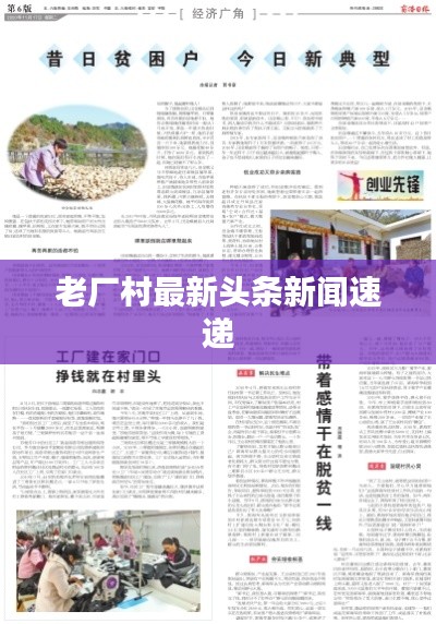 衣不重采 第4页