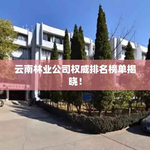 云南林业公司权威排名榜单揭晓！
