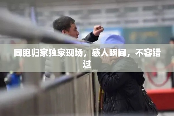 同胞归家独家现场，感人瞬间，不容错过