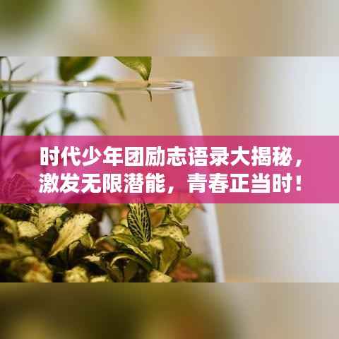 时代少年团励志语录大揭秘，激发无限潜能，青春正当时！