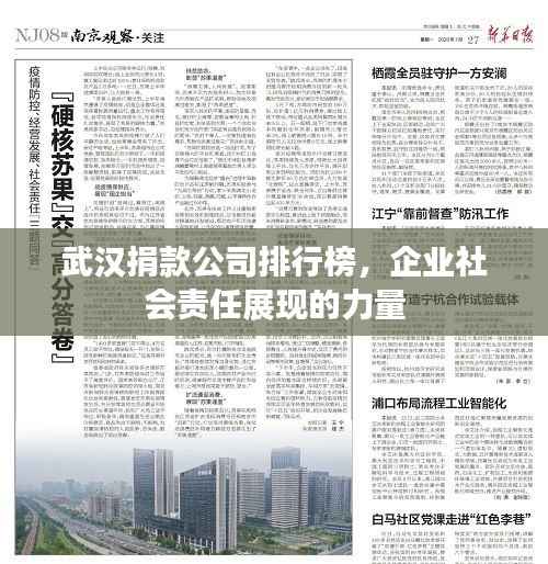 武汉捐款公司排行榜，企业社会责任展现的力量