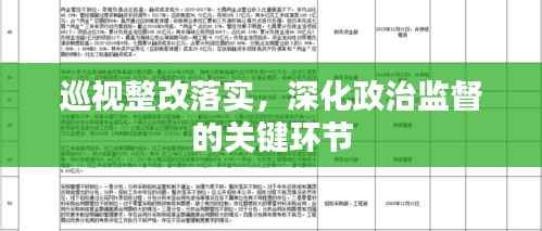 巡视整改落实，深化政治监督的关键环节