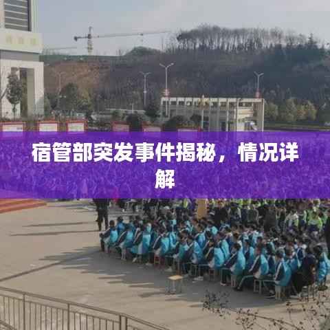 宿管部突发事件揭秘，情况详解