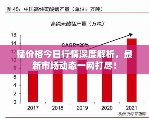 锰价格今日行情深度解析，最新市场动态一网打尽！