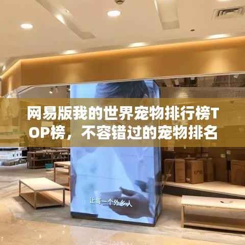 网易版我的世界宠物排行榜TOP榜，不容错过的宠物排名！