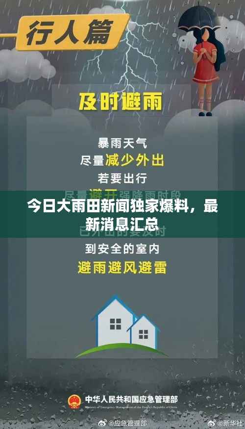 今日大雨田新闻独家爆料，最新消息汇总