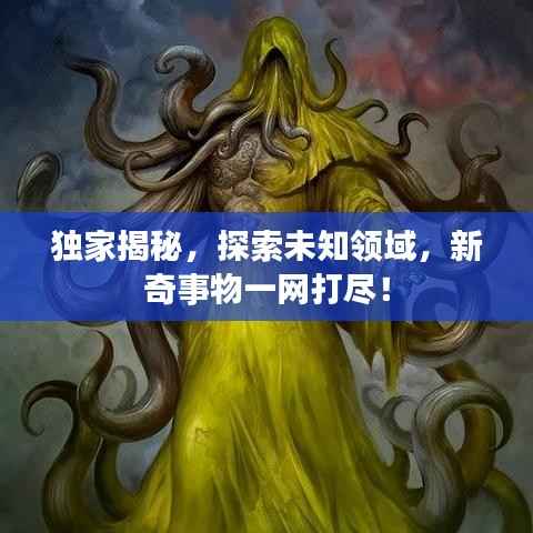 独家揭秘，探索未知领域，新奇事物一网打尽！