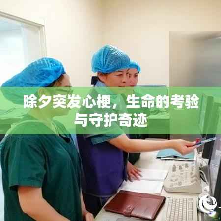 国色天香 第4页