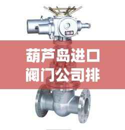 葫芦岛进口阀门公司排名及市场深度解析