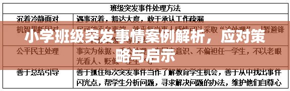 小学班级突发事情案例解析，应对策略与启示