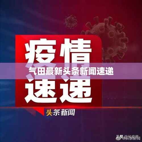 气田最新头条新闻速递