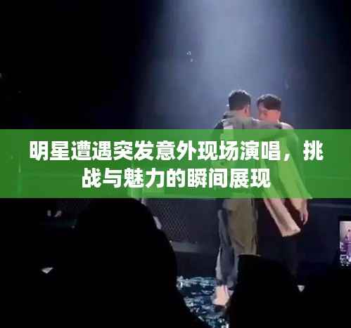 沉厚寡言 第5页