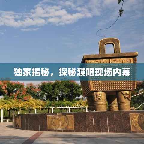 独家揭秘，探秘濮阳现场内幕