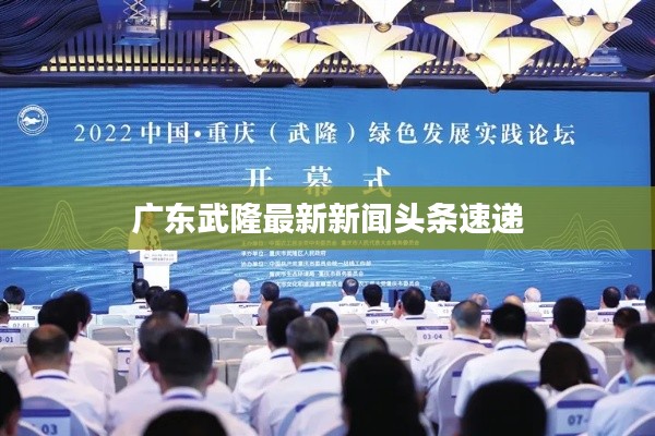 广东武隆最新新闻头条速递