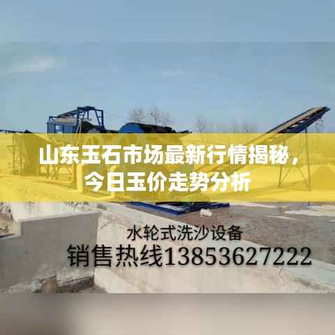 山东玉石市场最新行情揭秘，今日玉价走势分析