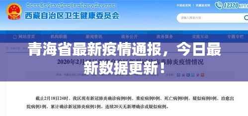 青海省最新疫情通报，今日最新数据更新！