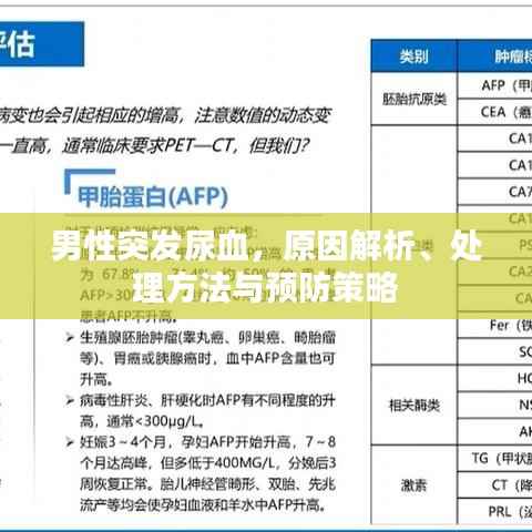 男性突发尿血，原因解析、处理方法与预防策略