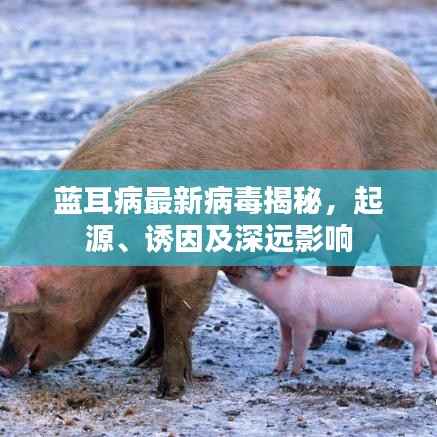 飞珠溅玉 第5页