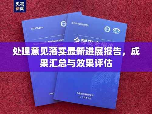处理意见落实最新进展报告，成果汇总与效果评估