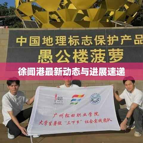 徐闻港最新动态与进展速递