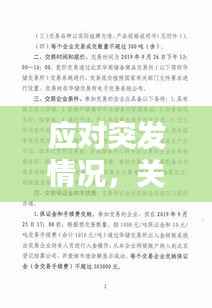 应对突发情况，关键性与应对策略的重要性