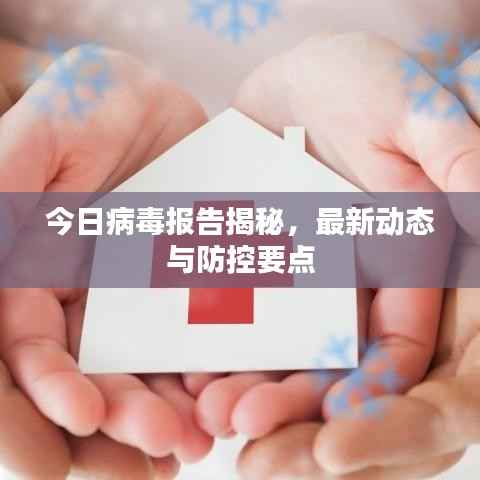 今日病毒报告揭秘，最新动态与防控要点