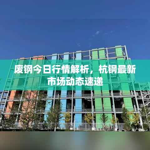 废钢今日行情解析，杭钢最新市场动态速递