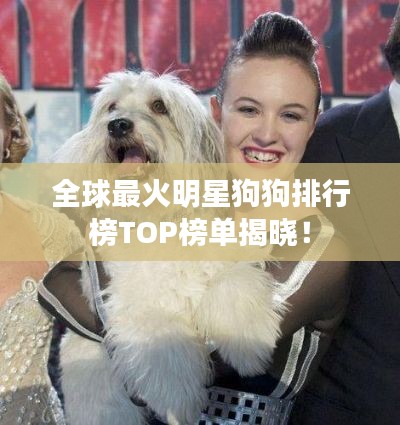 全球最火明星狗狗排行榜TOP榜单揭晓！
