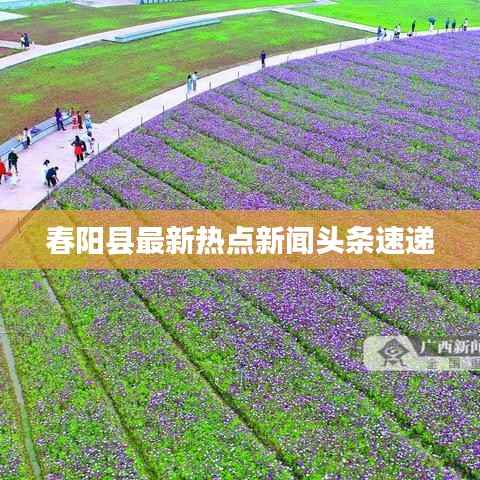 风度翩翩 第4页