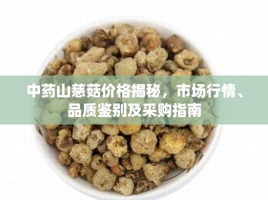 中药山慈菇价格揭秘，市场行情、品质鉴别及采购指南