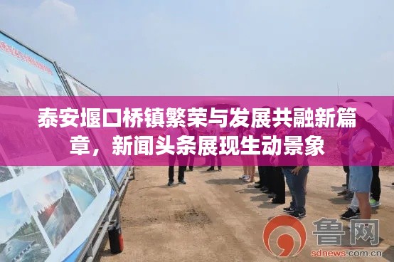 泰安堰口桥镇繁荣与发展共融新篇章，新闻头条展现生动景象
