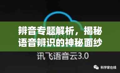 辨音专题解析，揭秘语音辨识的神秘面纱