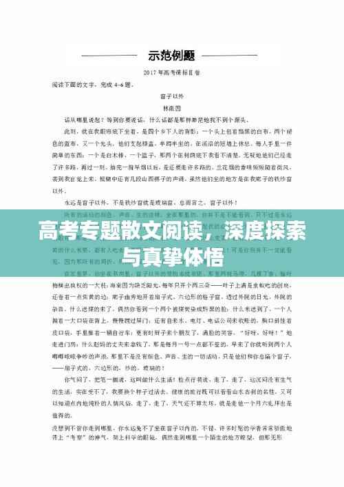 高考专题散文阅读，深度探索与真挚体悟