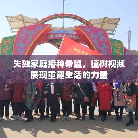 失独家庭播种希望，植树视频展现重建生活的力量