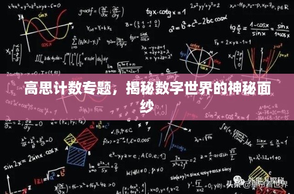 高思计数专题，揭秘数字世界的神秘面纱