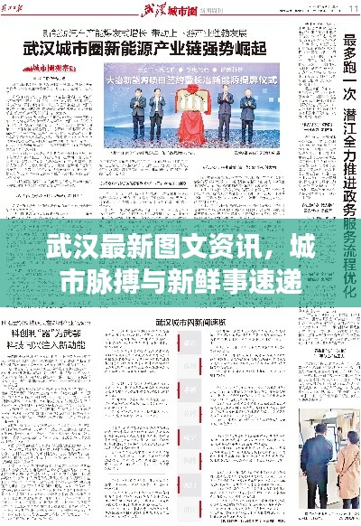 武汉最新图文资讯，城市脉搏与新鲜事速递