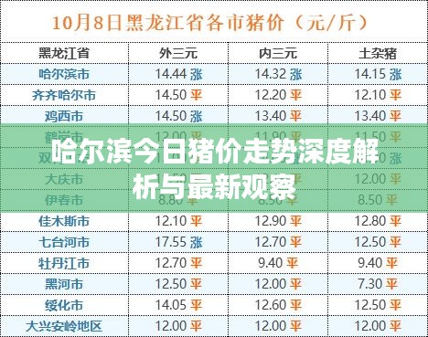 哈尔滨今日猪价走势深度解析与最新观察