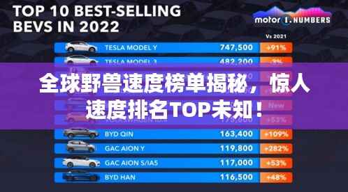 全球野兽速度榜单揭秘，惊人速度排名TOP未知！