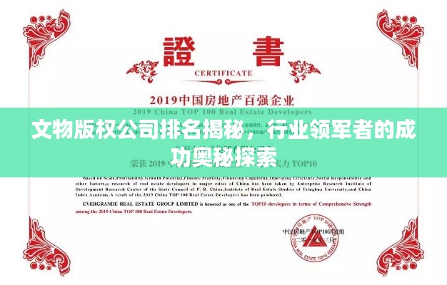 文物版权公司排名揭秘，行业领军者的成功奥秘探索