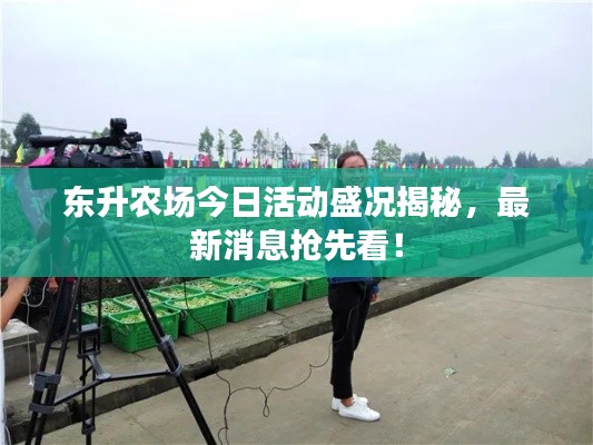 东升农场今日活动盛况揭秘，最新消息抢先看！