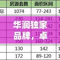 华润独家品牌，卓越品质铸就，引领时代潮流新标杆