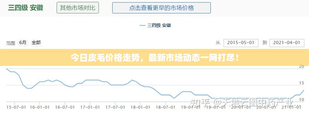 今日皮毛价格走势，最新市场动态一网打尽！