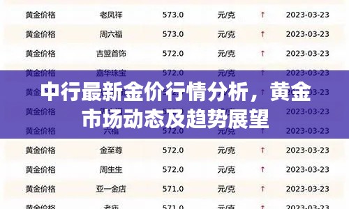 中行最新金价行情分析，黄金市场动态及趋势展望
