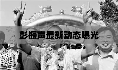 彭振声最新动态曝光