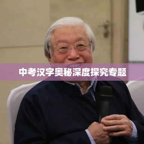 中考汉字奥秘深度探究专题