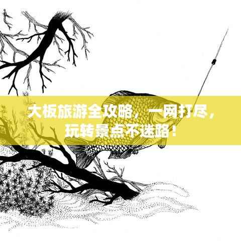 大板旅游全攻略，一网打尽，玩转景点不迷路！