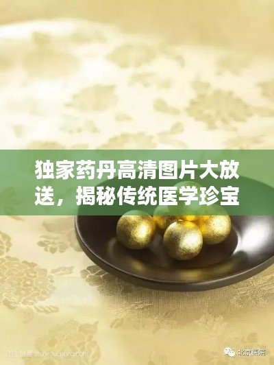 独家药丹高清图片大放送，揭秘传统医学珍宝！