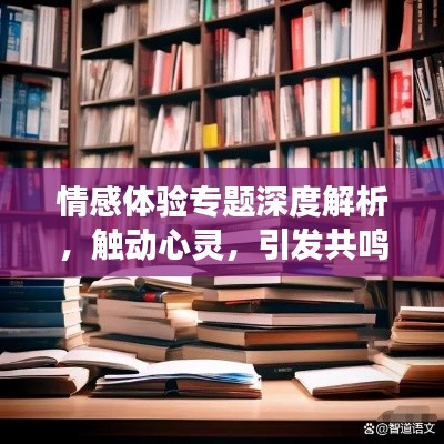 情感体验专题深度解析，触动心灵，引发共鸣的作文之旅