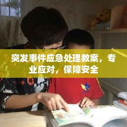 突发事件应急处理教案，专业应对，保障安全