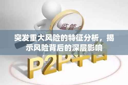 突发重大风险的特征分析，揭示风险背后的深层影响